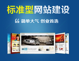 標準網(wǎng)站建設